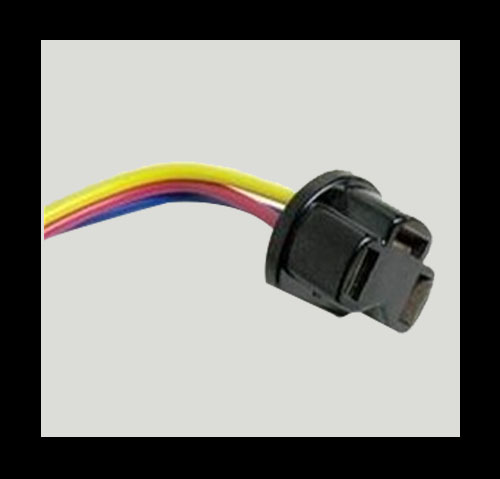 Chiranjivee Products